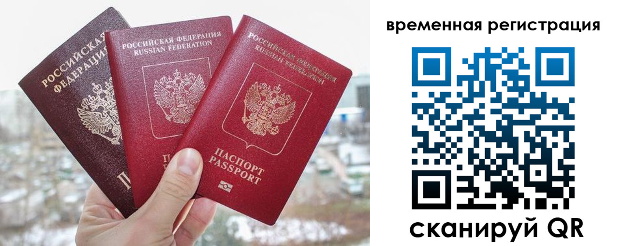 временная регистрация поиск в Тихорецке